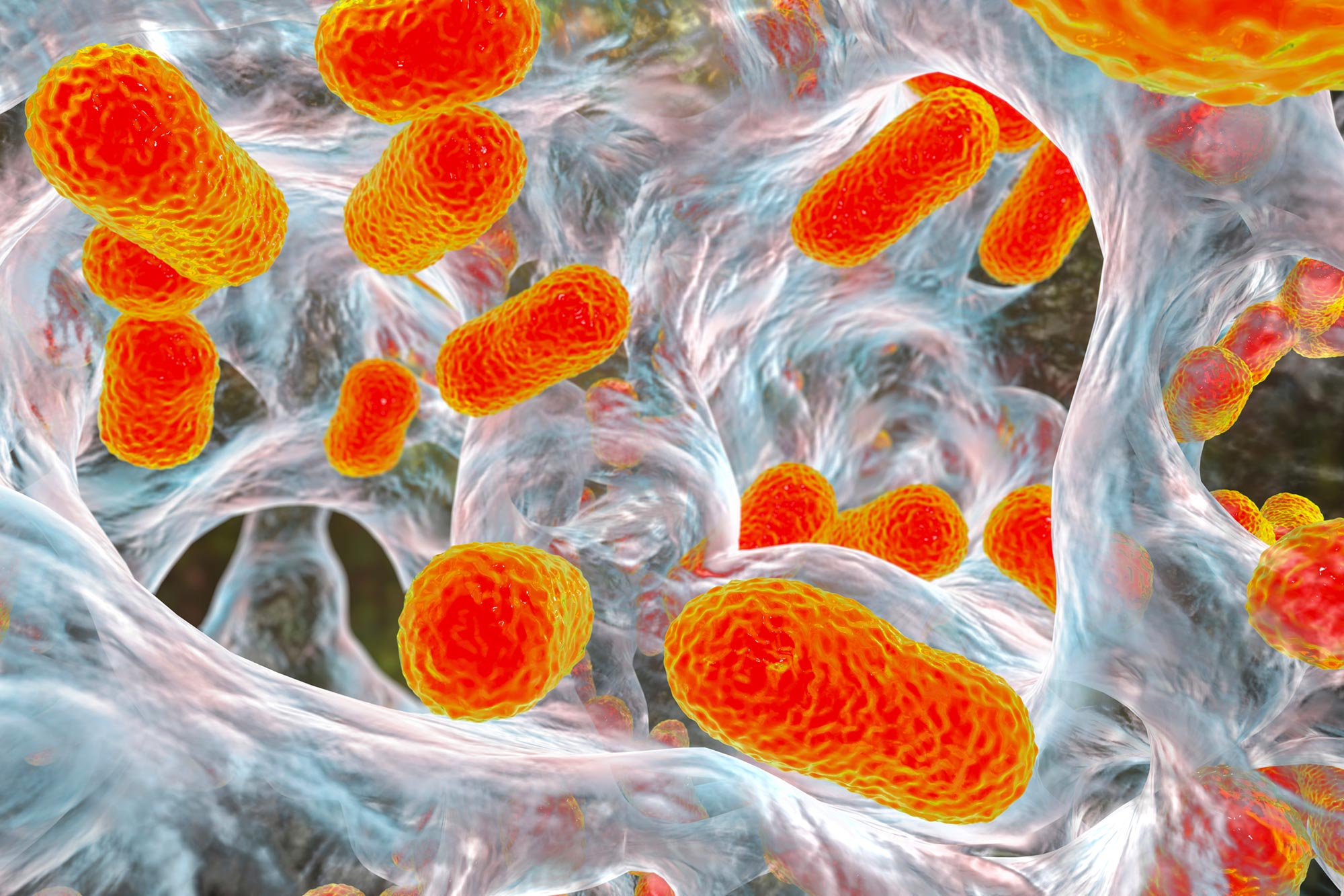 Dieser versteckte Zucker könnte helfen, Superbugs zu besiegen