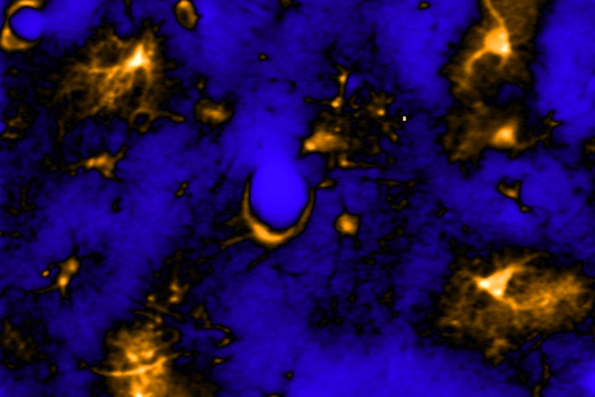 Sternförmige Gehirnzellen können den Schlüssel dafür halten, warum und wie wir schlafen