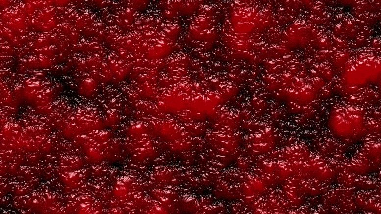 Wissenschaftler haben möglicherweise den Mechanismus hinter mysteriösen Covid-19-Symptomen entdeckt haben