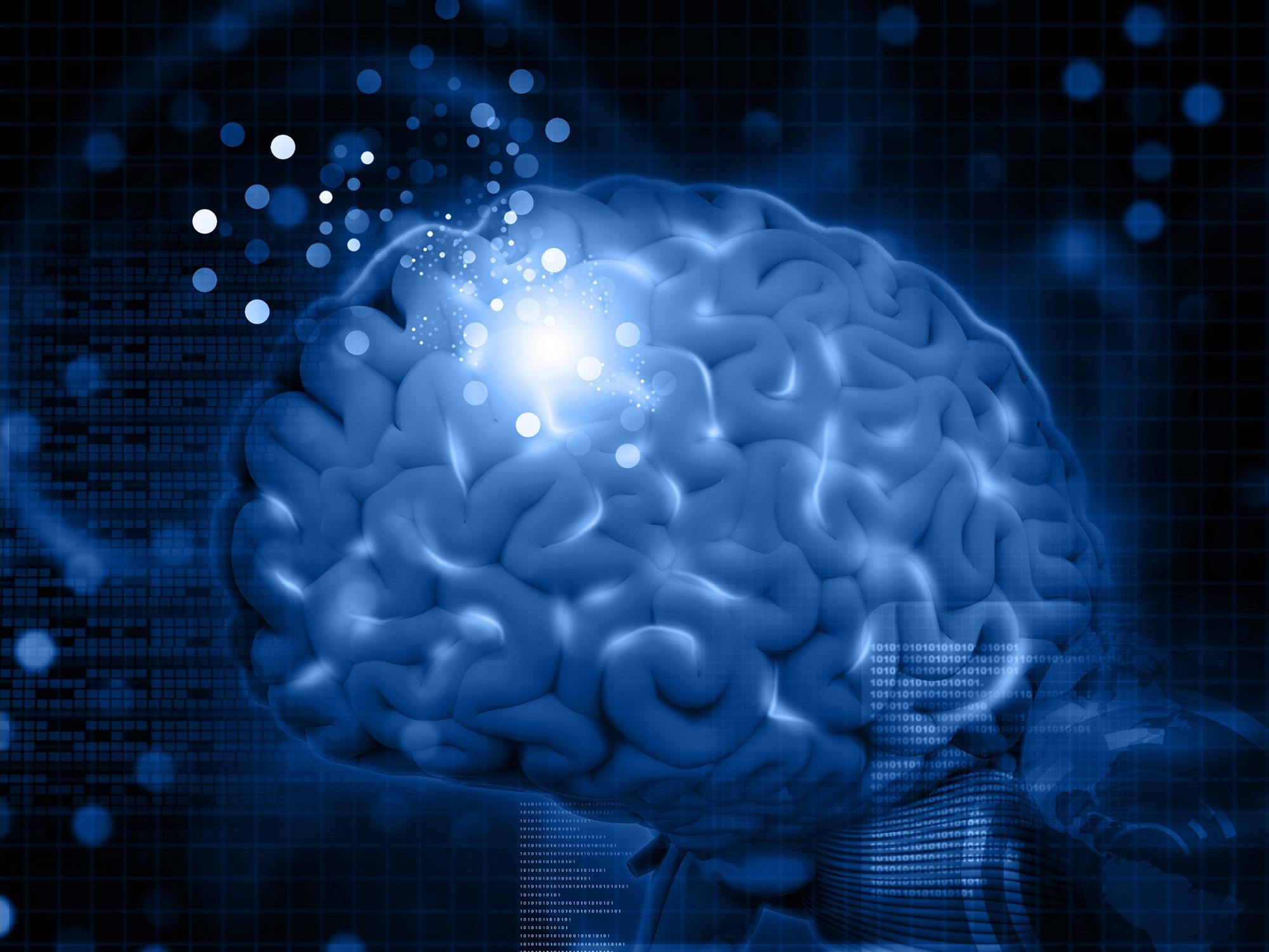 Forscher entdecken, wie das Gehirn aus unbewussten Reizen lernt