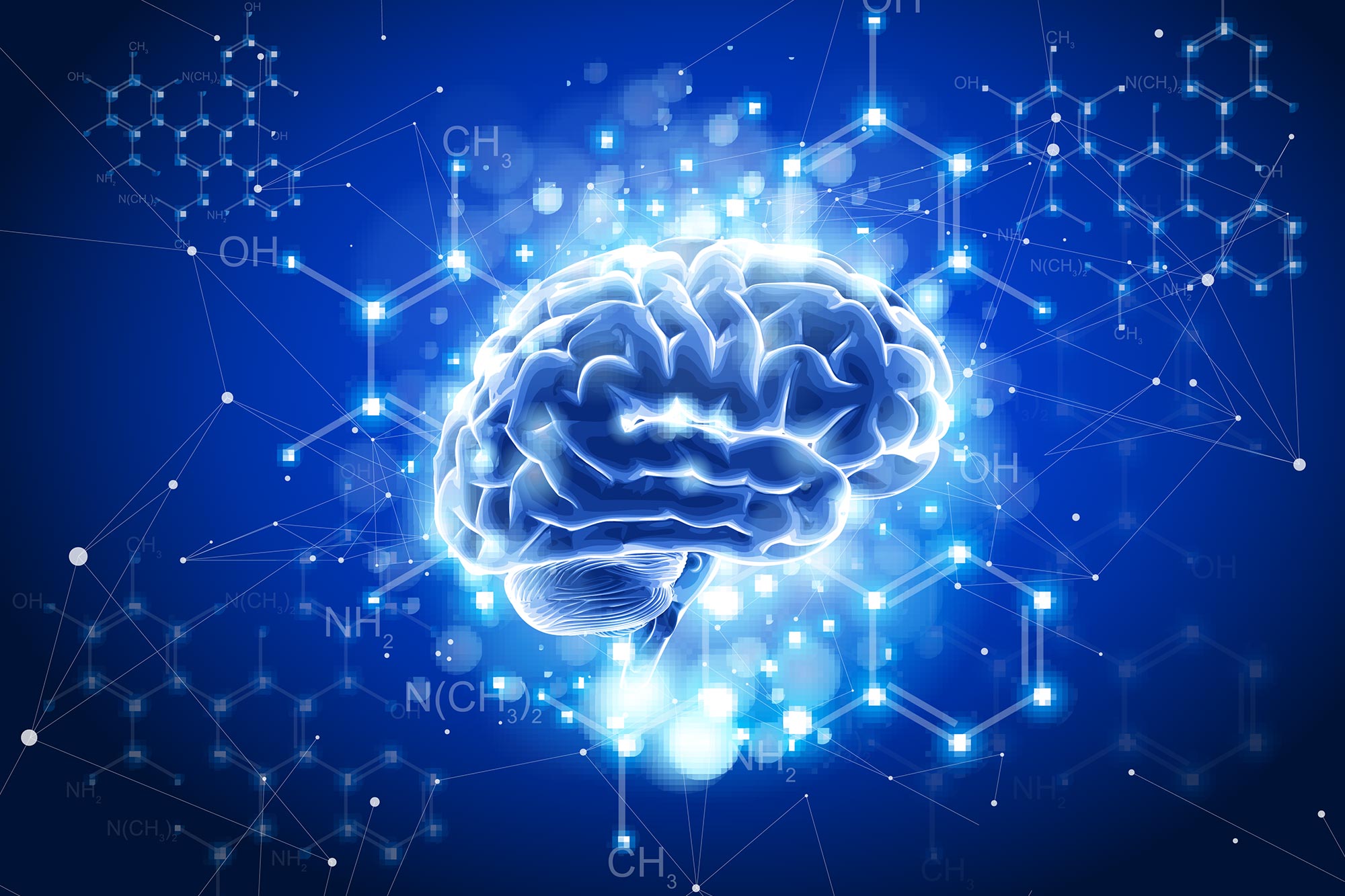 Flavanole brechen die Regeln der Ernährung: Wissenschaftler entdecken die überraschende Art und Weise, wie sie das Gehirn stärken