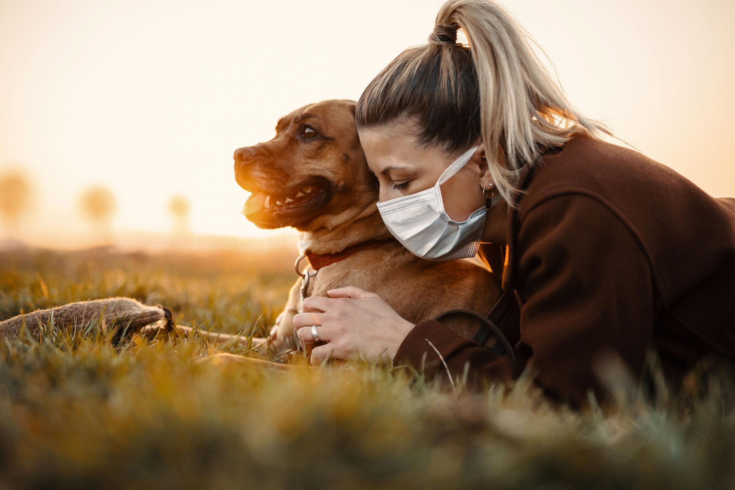 Wissenschaftler schauen auf Tiere und finden heraus, was bestimmte Menschen für Covid-19 anfälliger machen können