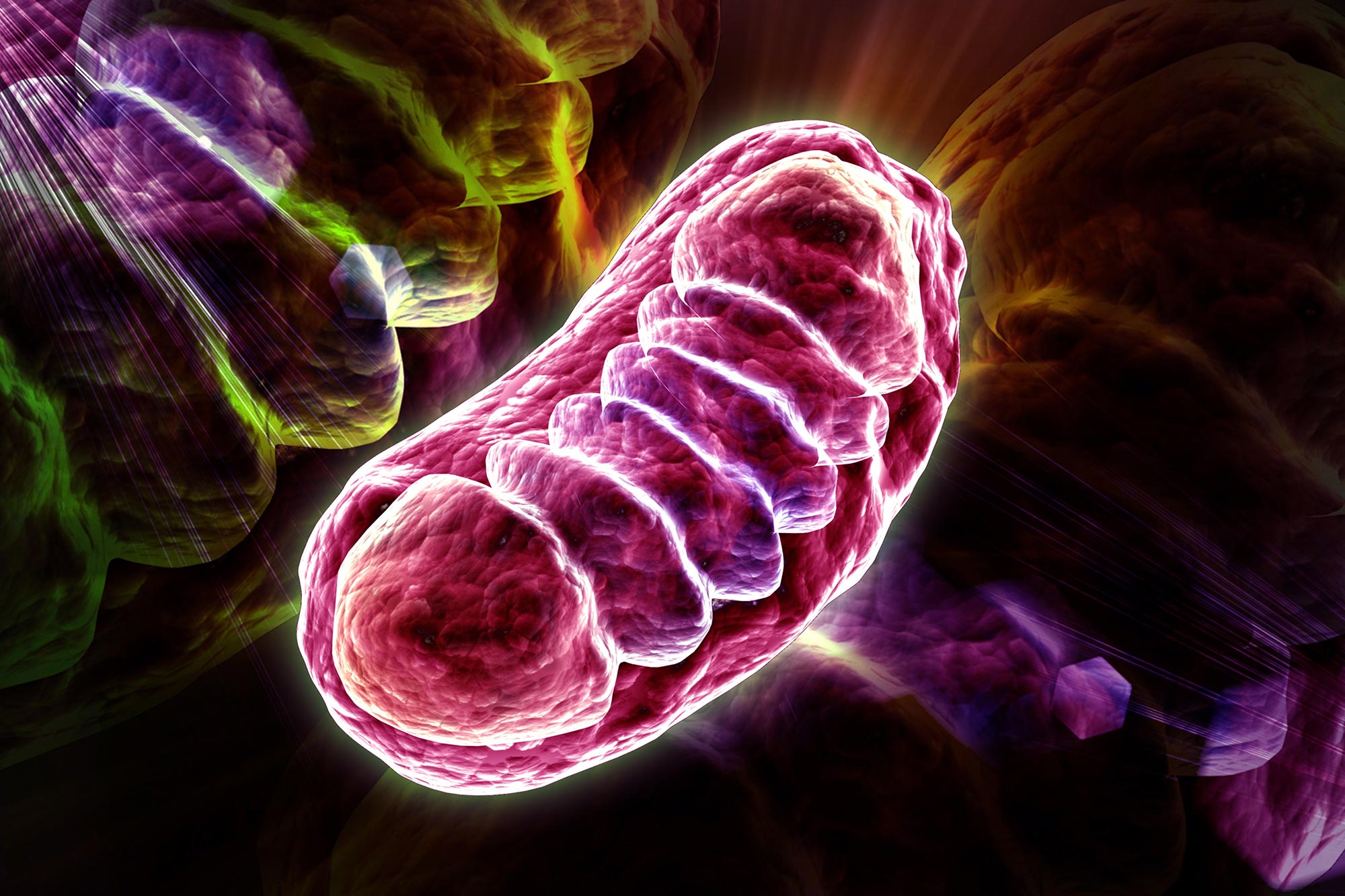 Wissenschaftler haben gerade den versteckten Trick entdeckt, der Ihre Zellen am Leben hält