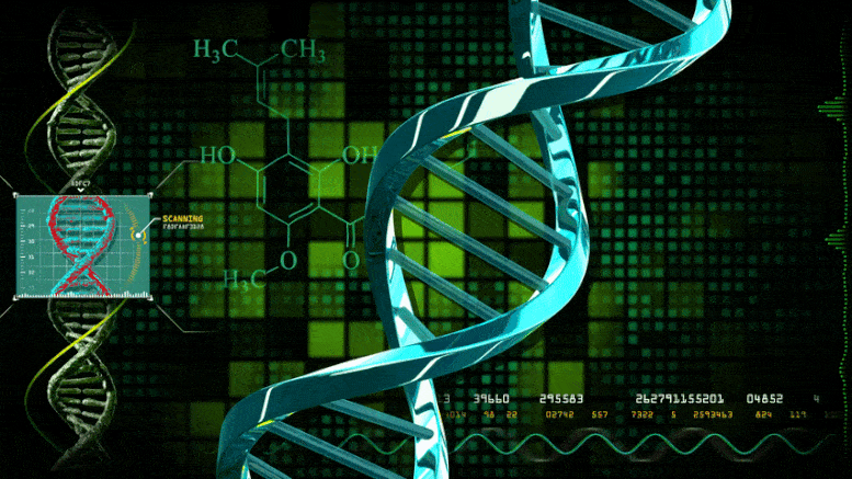 Die massive Analyse zeigt neue Gene im Zusammenhang mit Covid-19-hilfreich und schädlich