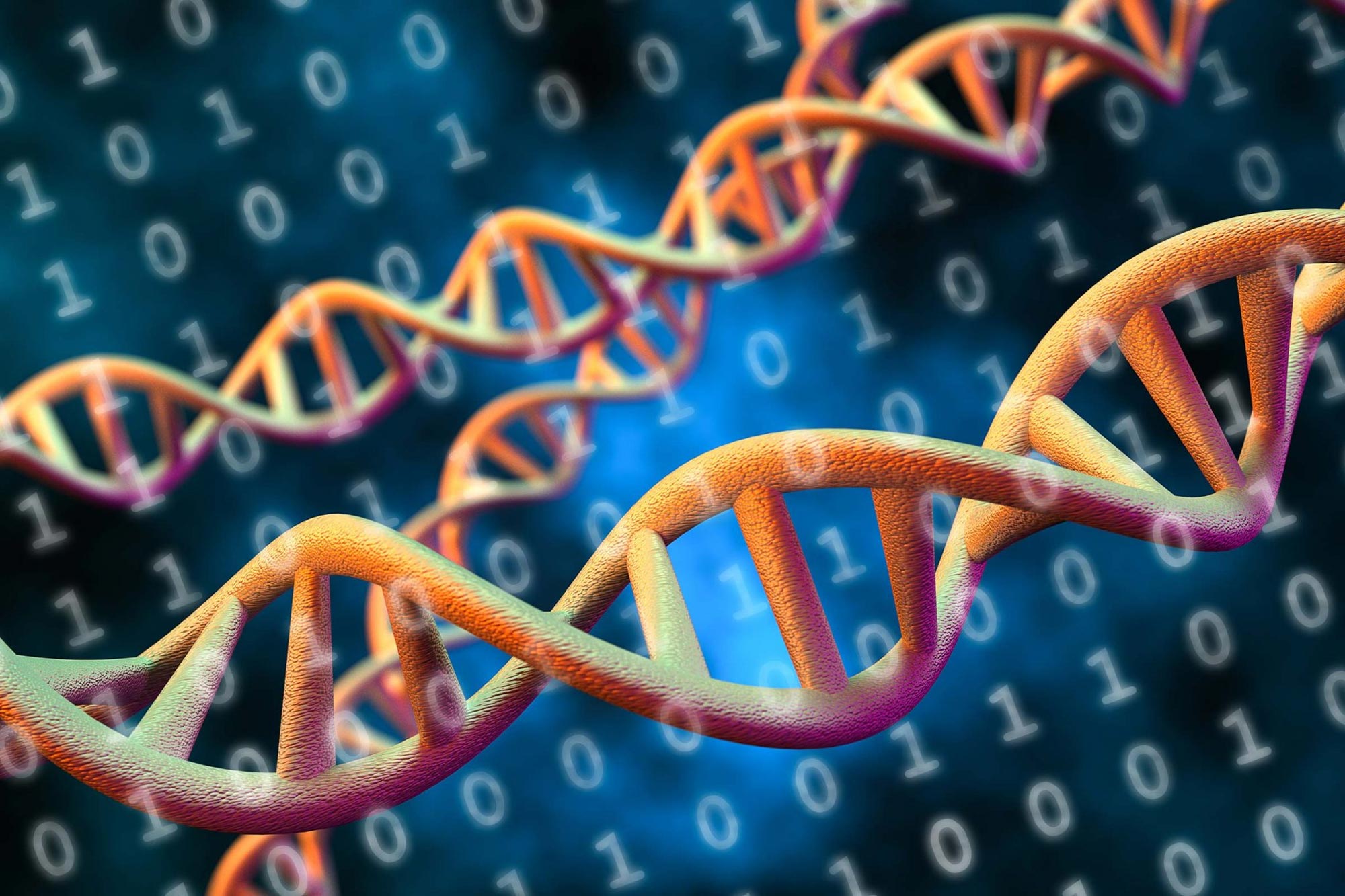 Übersetzungssoftware ermöglicht eine effiziente Speicherung massiver Datenmengen in DNA 