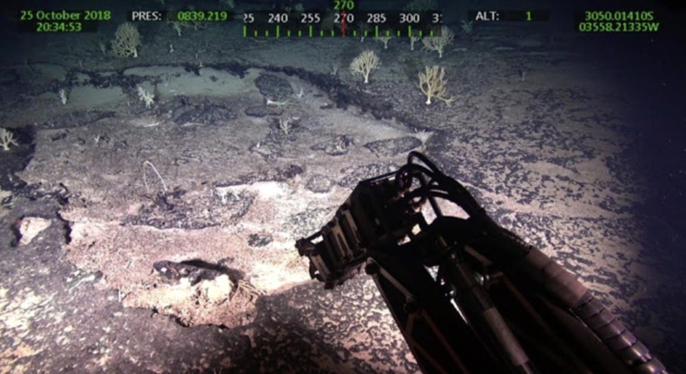 Mikroorganismen, die auf dem Rio Grande Rise entdeckt wurden, sind eine Grundlage für das Leben und ein möglicher Ursprung von Metallen