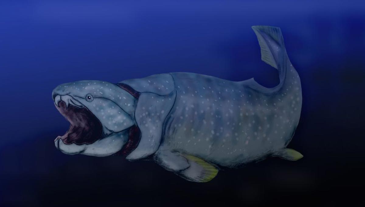 Die alte Sauerstoffflut, die das Leben den tiefen Ozean erobern lässt