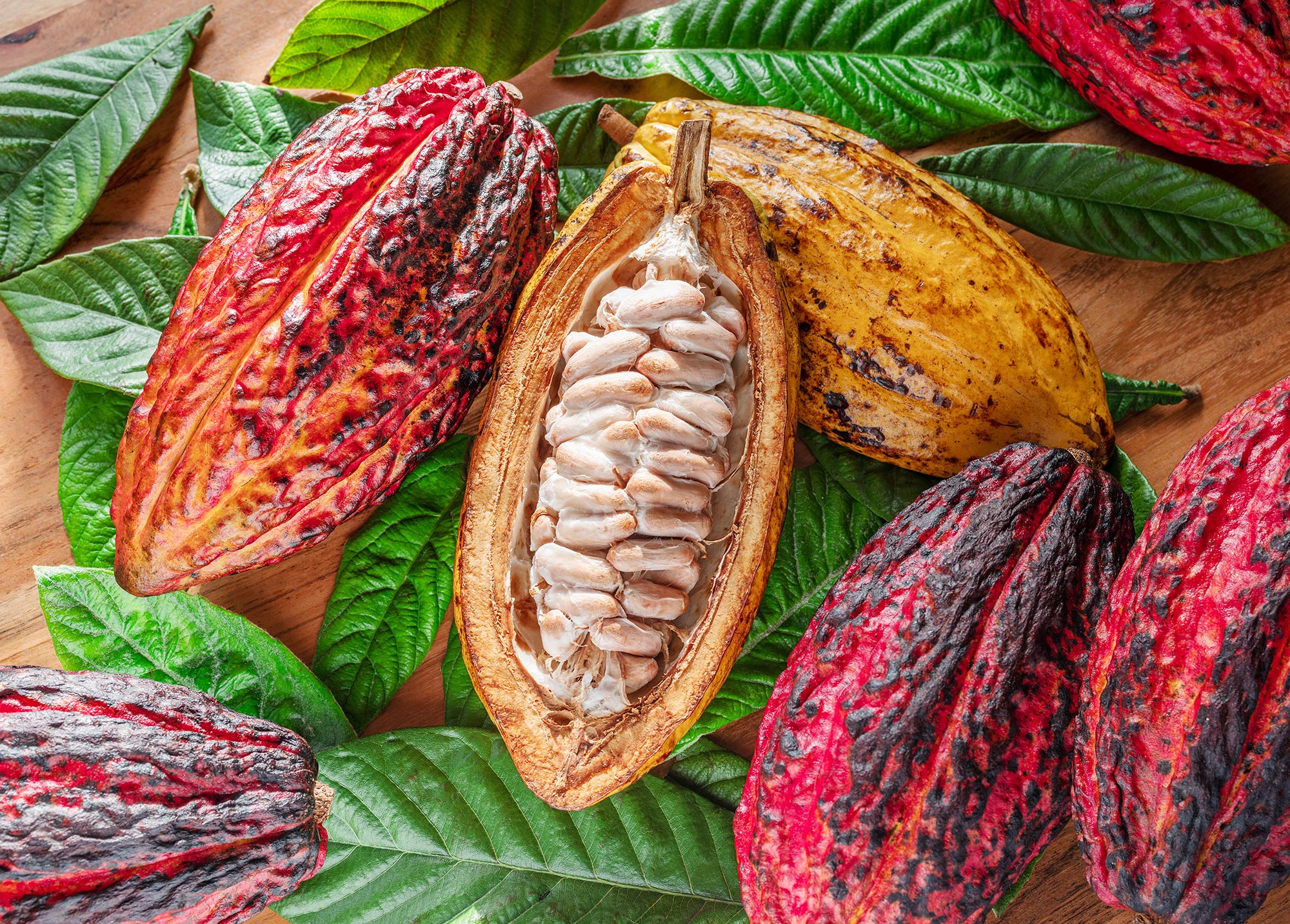 Selbst die Kühlung des Planeten kann Ihren Kaffee, Ihren Wein und Ihre Schokolade nicht retten