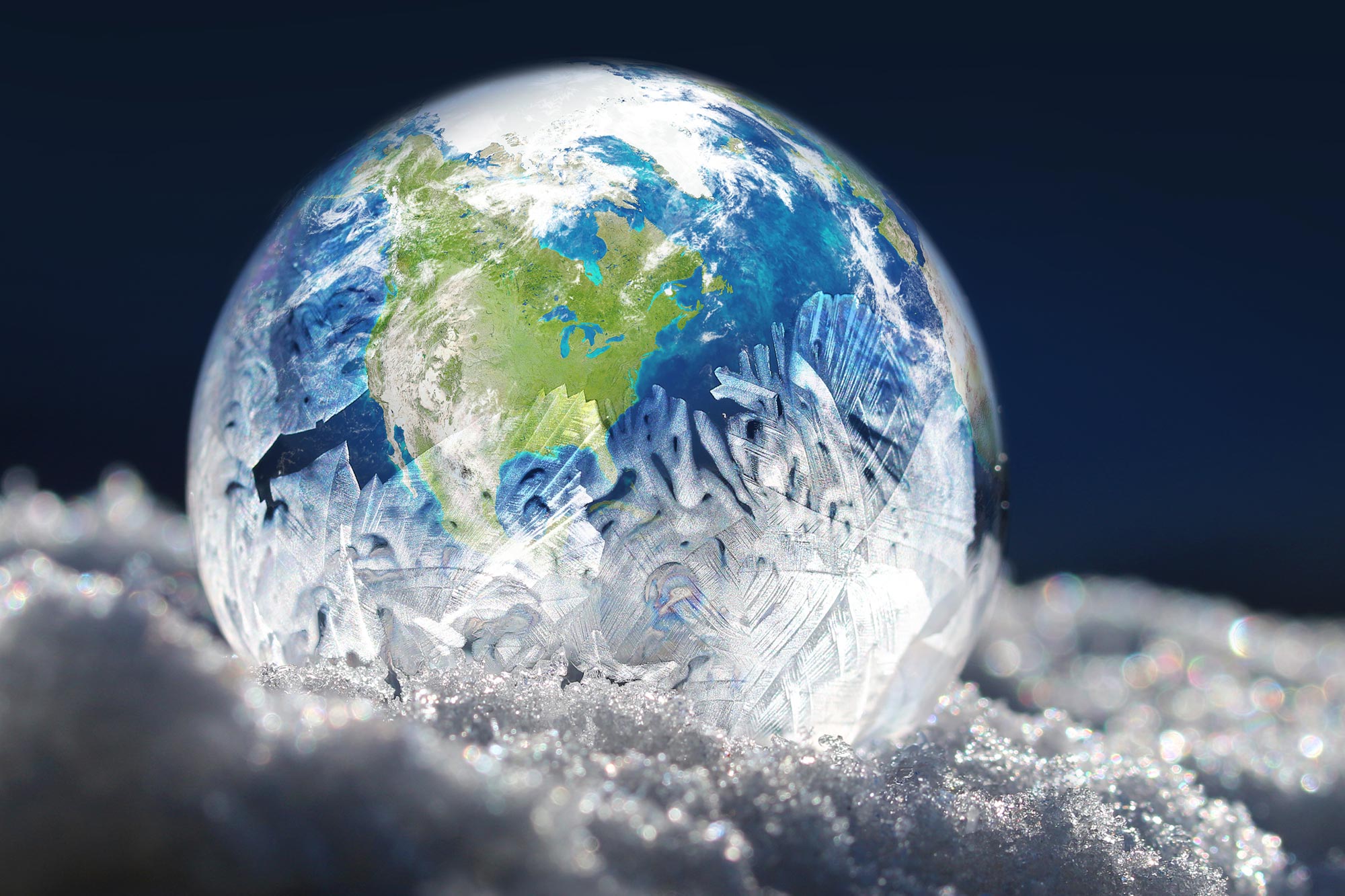 Wissenschaftler entdecken Eiszeitwälder in der versunkenen „verlorenen Welt“ der Nordsee