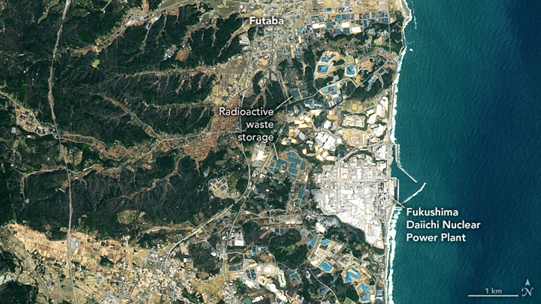 Eine erneuerbare Zukunft für Fukushima: Solar- und Windparks decken Felder ab, die nach Nuklearunfall aufgegeben wurden