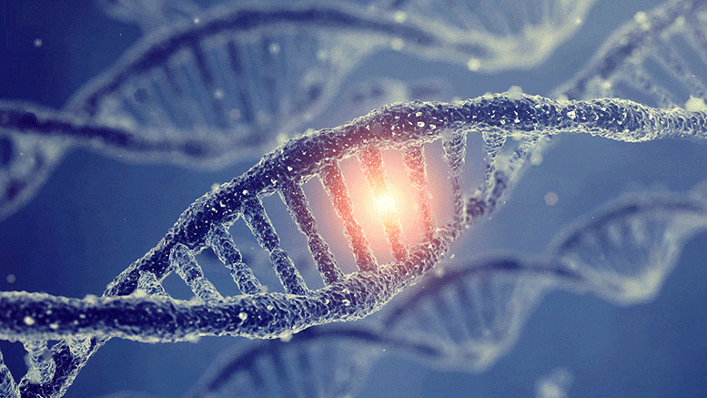 Genetische Mutationen in SARS-CoV-2-Coronavirus liefern Einblicke in die Virusentwicklung