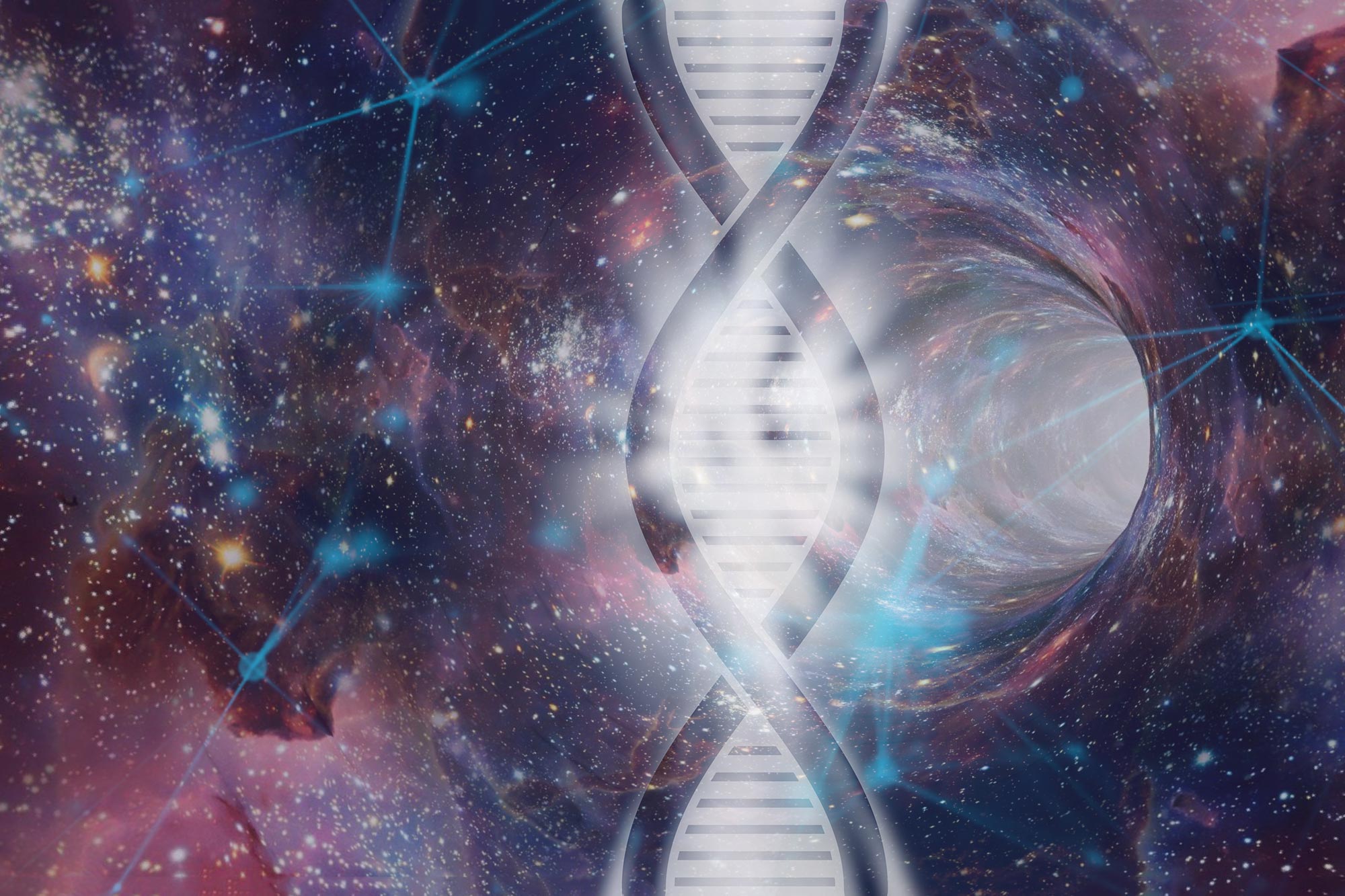 "Genomic Time Travel" verwendet, um neue genetische Merkmale zu entdecken, um produktivere und belastbarere afrikanische Rinder zu züchten