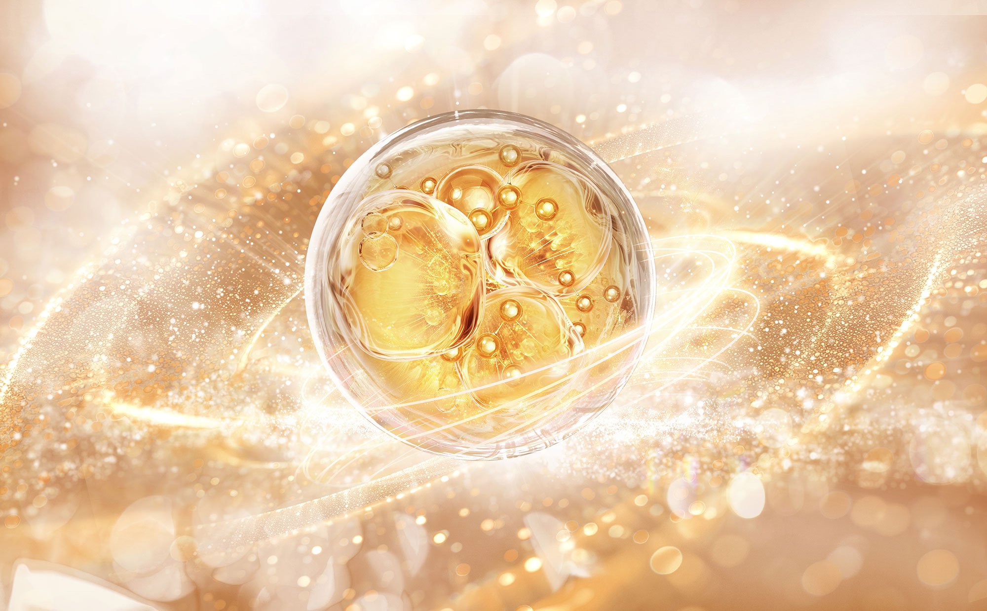 Forscher entdecken den geheimen Anti-Aging-Mechanismus der Zelle