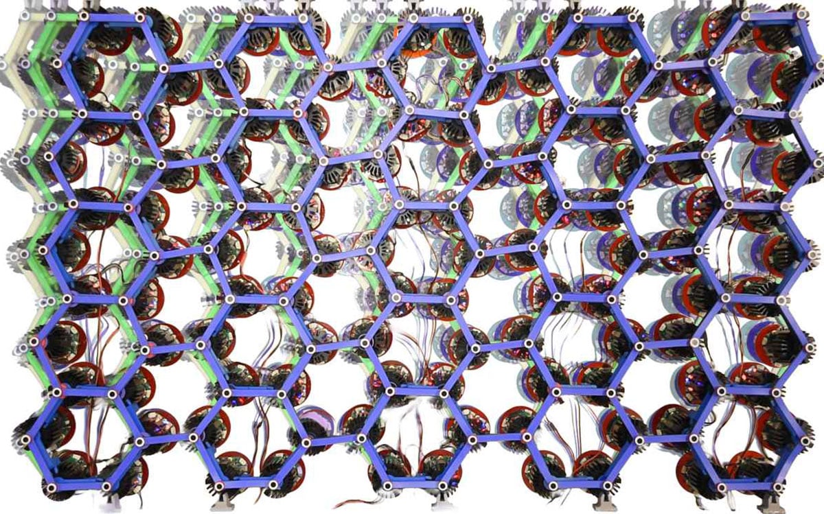 Wissenschaftler erschaffen „lebende“ Materialien, die selbstständig kriechen, laufen und graben