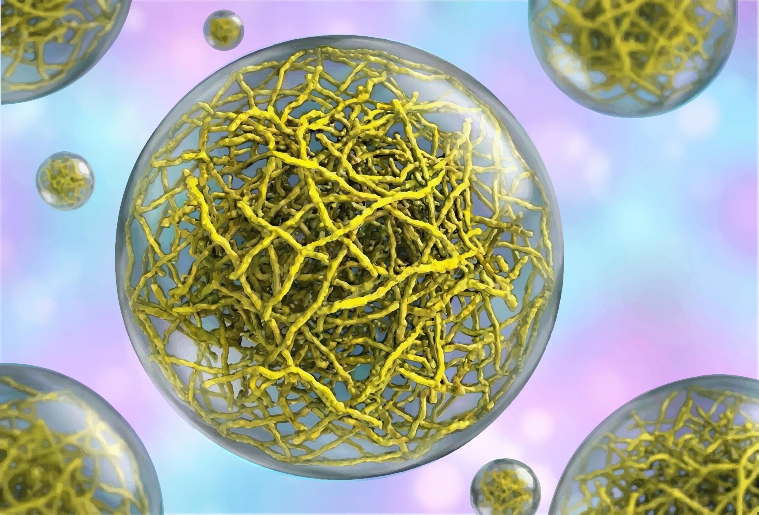 Wissenschaftler entdecken verborgene Strukturen in den „flüssigen“ Tröpfchen von Zellen