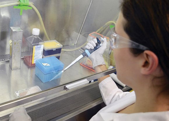 Yale untersucht, wie Bakterien Autoimmunerkrankungen auslösen und behandeln können