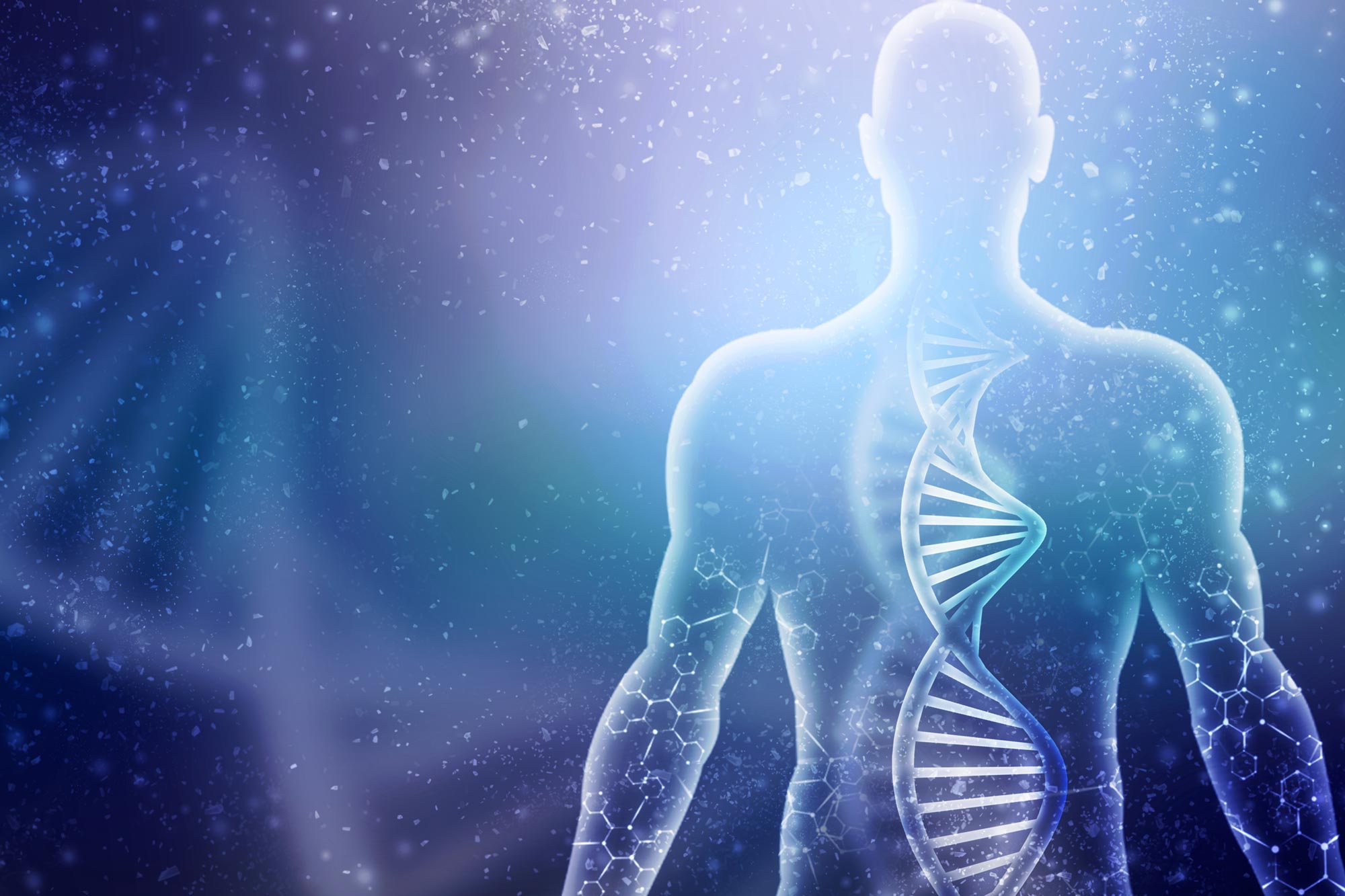 „Superkräfte“ des Ruhezustands könnten Menschen bei der Behandlung von Diabetes und Alzheimer helfen