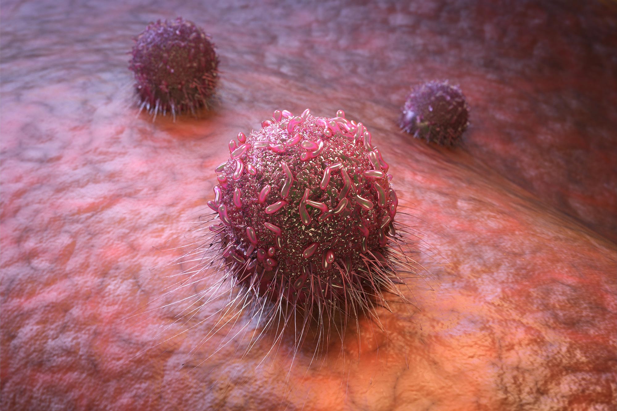 Der neue Impfstoff „Booster“ fördert eine starke Anti-Tumor-Immunität