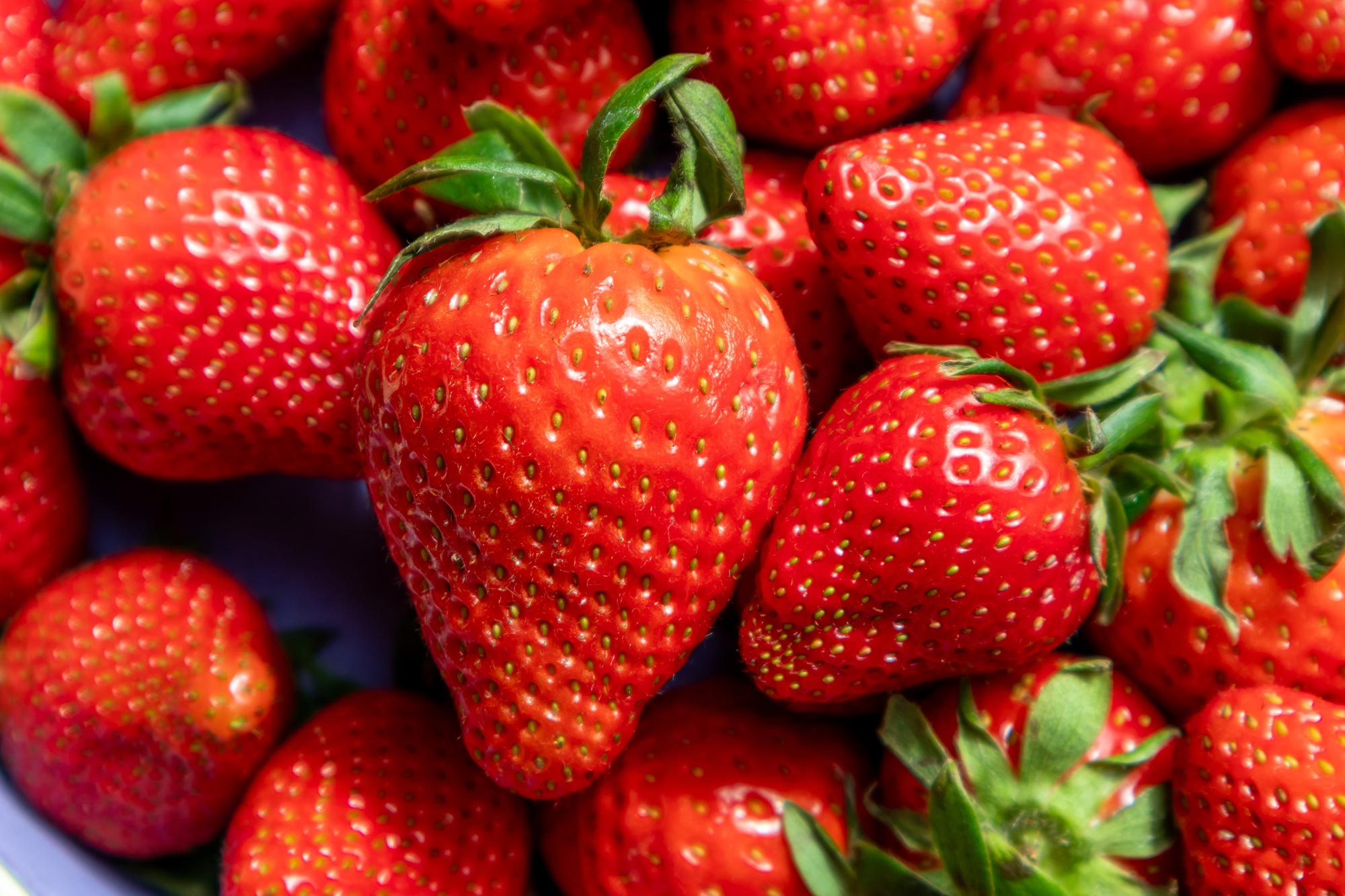 Diese Genoptimierung verwandelt Erdbeeren in gesündere und schmackhaftere Superfrüchte