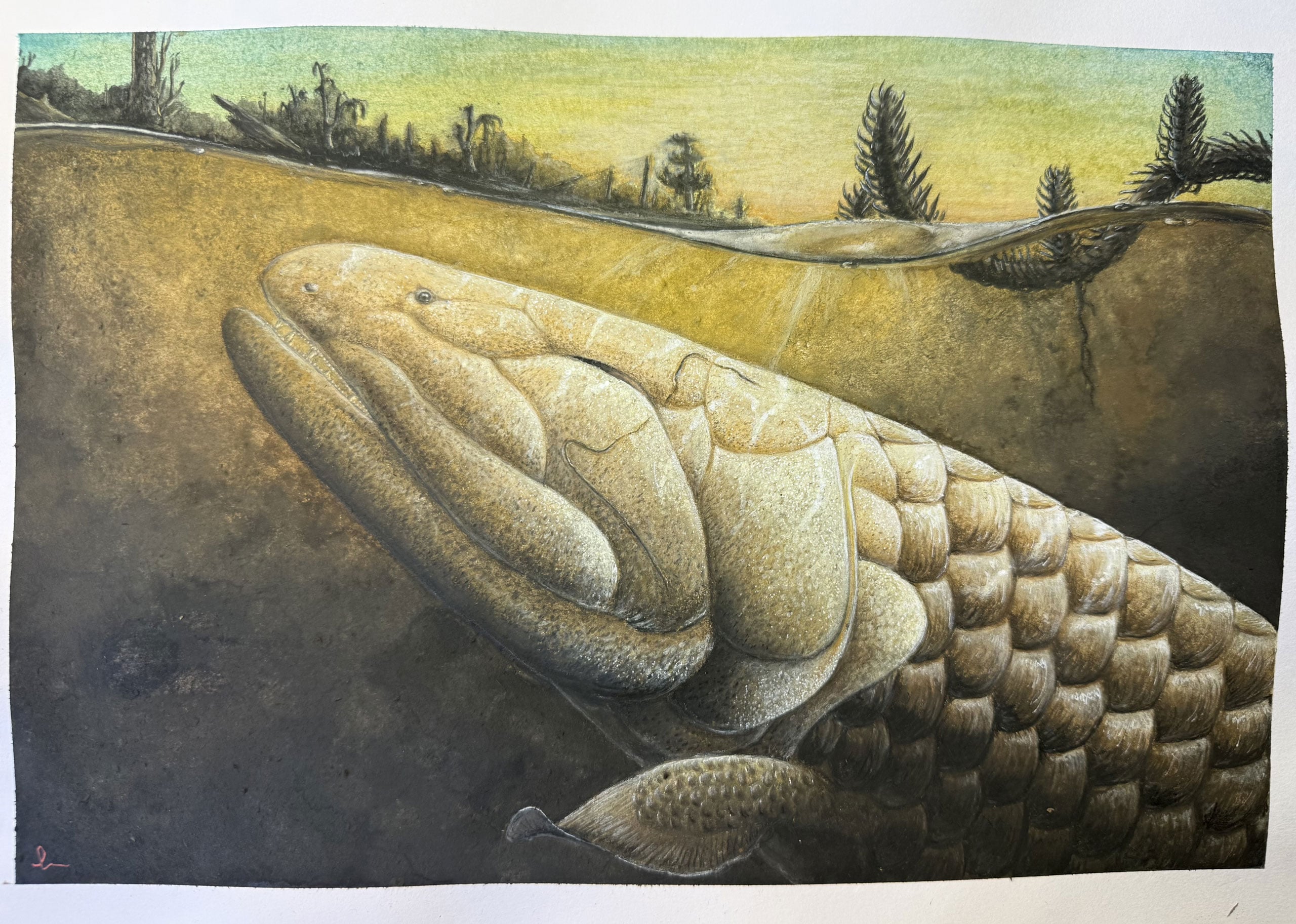380 Millionen Jahre altes Fischfossil enthüllt Geheimnisse der ersten Schritte des Lebens an Land