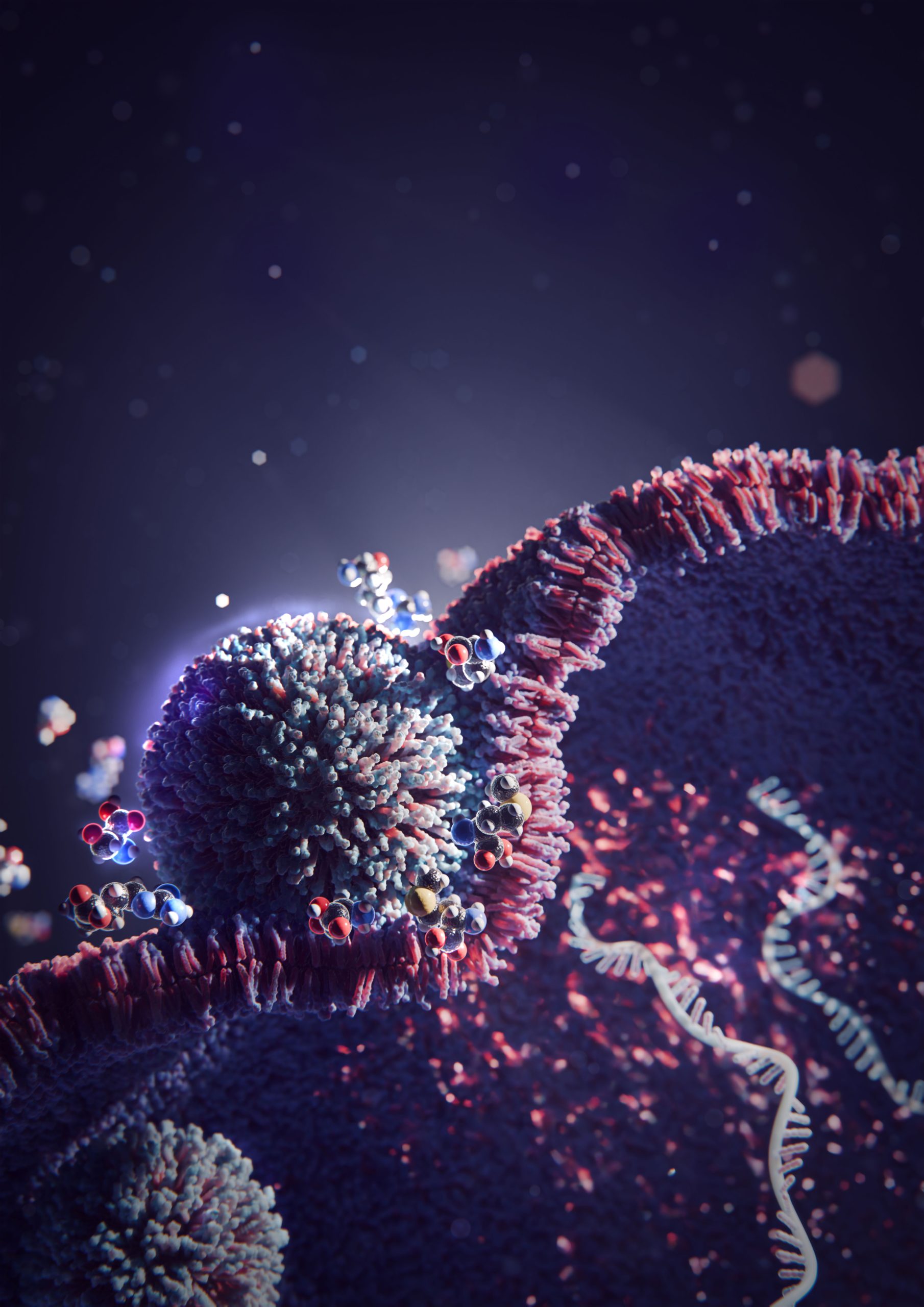 Wissenschaftler entdecken einfachen Trick, der die mRNA-Therapieabgabe um das 20-fache steigert