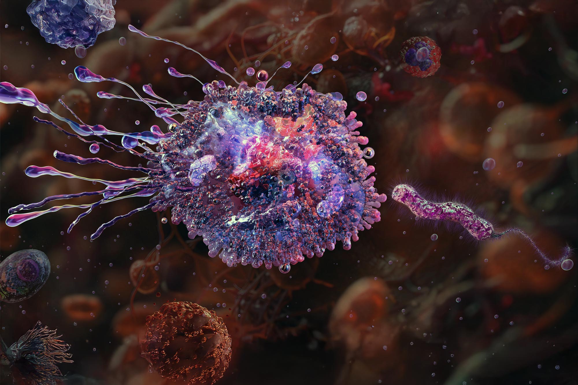 Dieser genetische Schalter hilft Immunzellen, Ihre Organe zu schützen