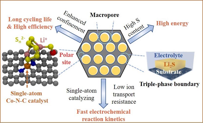 Neues Kathodendesign verbessert die Leistung der Batterie der nächsten Generation erheblich