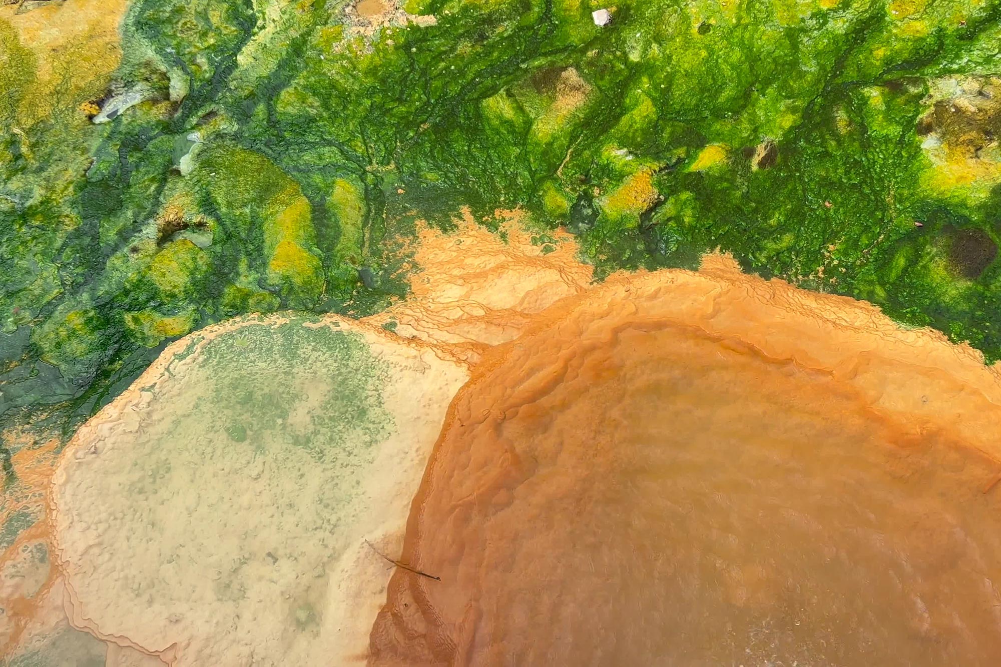 Alte heiße Quellen enthüllen, wie das Leben auf einer giftigen frühen Erde überlebte