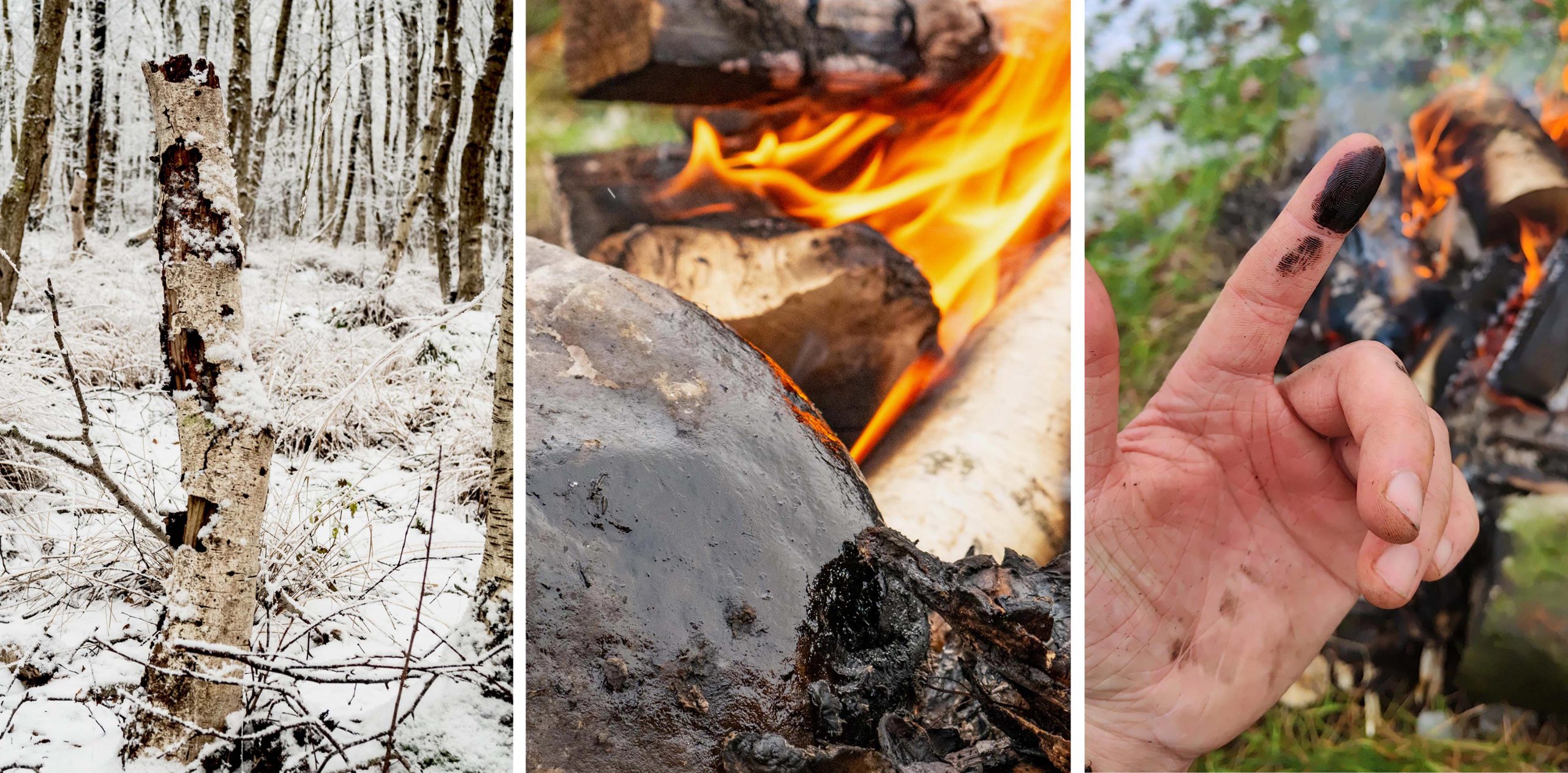 Studienergebnisse zeigen, dass Neandertaler Birkenteer möglicherweise als altes Antibiotikum verwendet haben