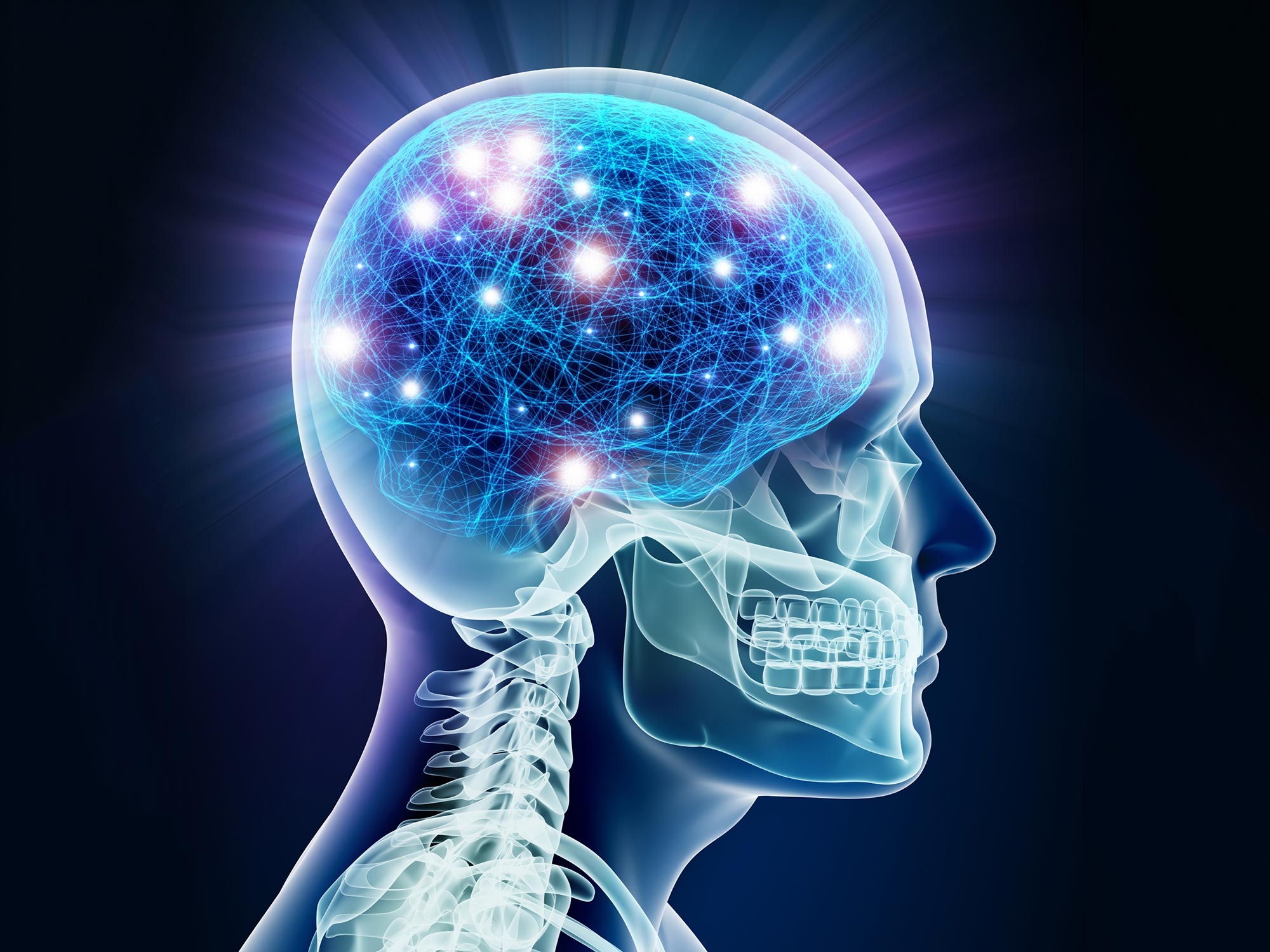 Herausforderung des Status Quo: Forscher entdecken einzigartige neuronale Ursprünge im menschlichen Gehirn