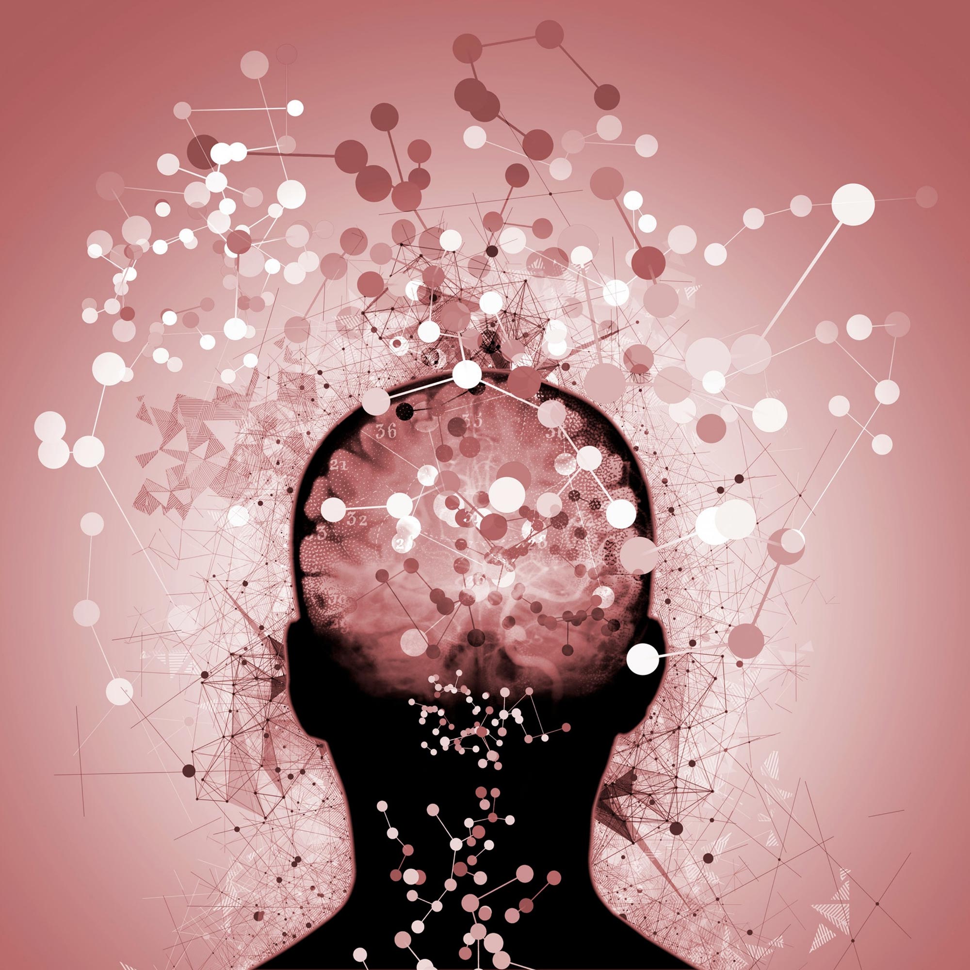 Neue Hoffnung auf neurodegenerative Erkrankungen: Stanford 