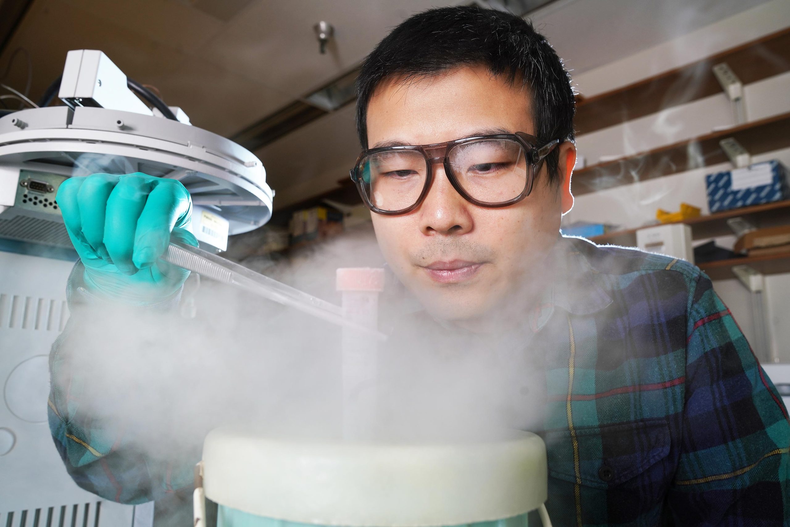 Pflanzenwissenschaftler finden ein Rezept für Anti-Krebs-Verbindung in Kräutern wie Thymian und Oregano