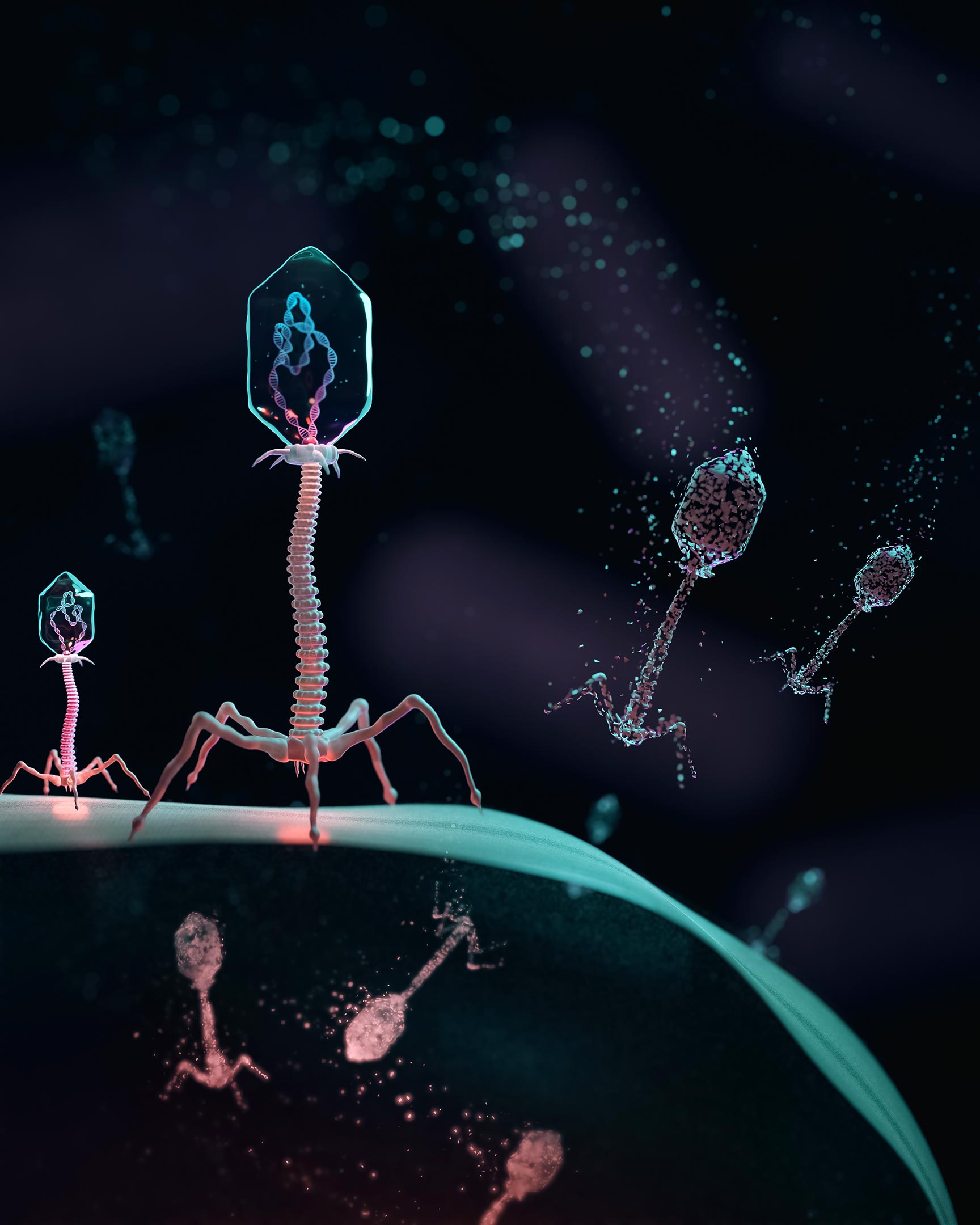 Revolutionierung der Biotechnologie: Wissenschaftler erzeugen aufgeladene Bakterien mit Immunität gegen Virusinfektionen