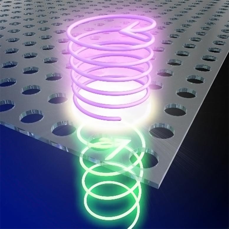 Neuer photonischer Kristalllichtkonverter: leistungsfähiges Werkzeug zur Beobachtung in Physik und Biowissenschaften