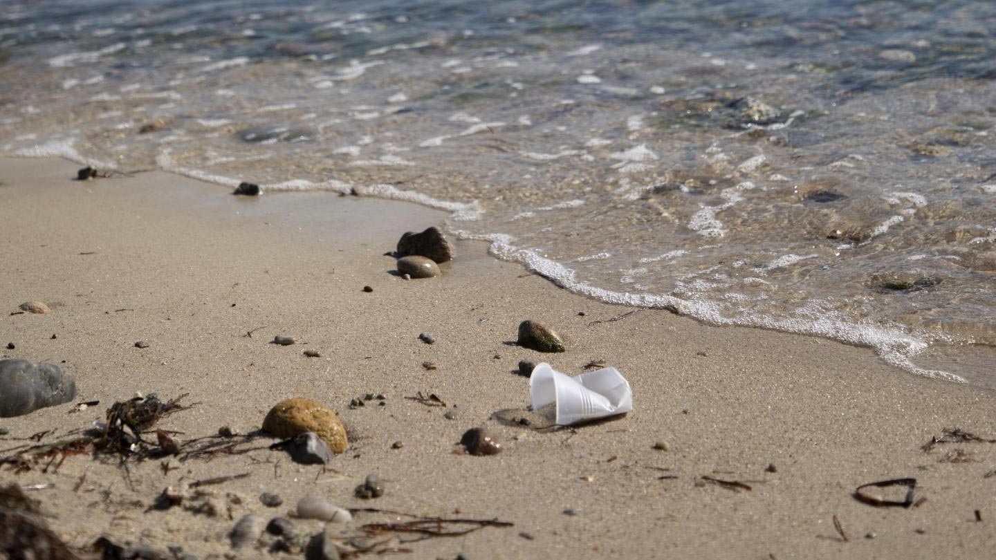 Wissenschaftler dachten, es dauerte Tausende von Jahren, bis sich Plastik zersetzt 