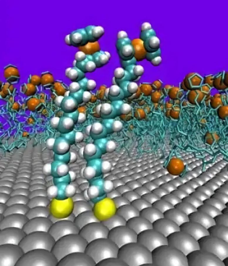 Redox Active Ferrocene Alkanethiol Molecules