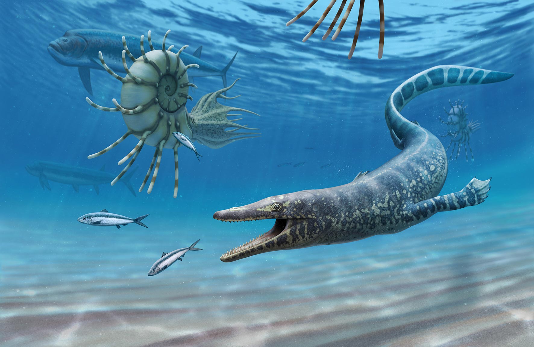 Cannibal Sea Dragons: Enthüllung der dunklen Geheimnisse der Mosasaurier