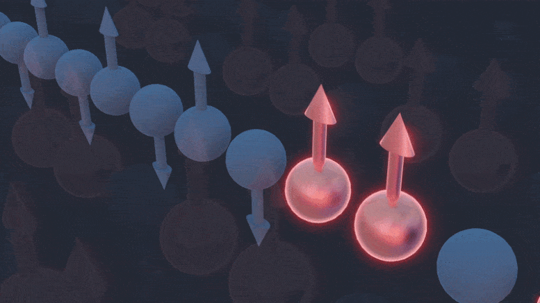 Das unkonventionelle Spinverhalten des Quantenmaterials beweist theoretische Vorhersagen
