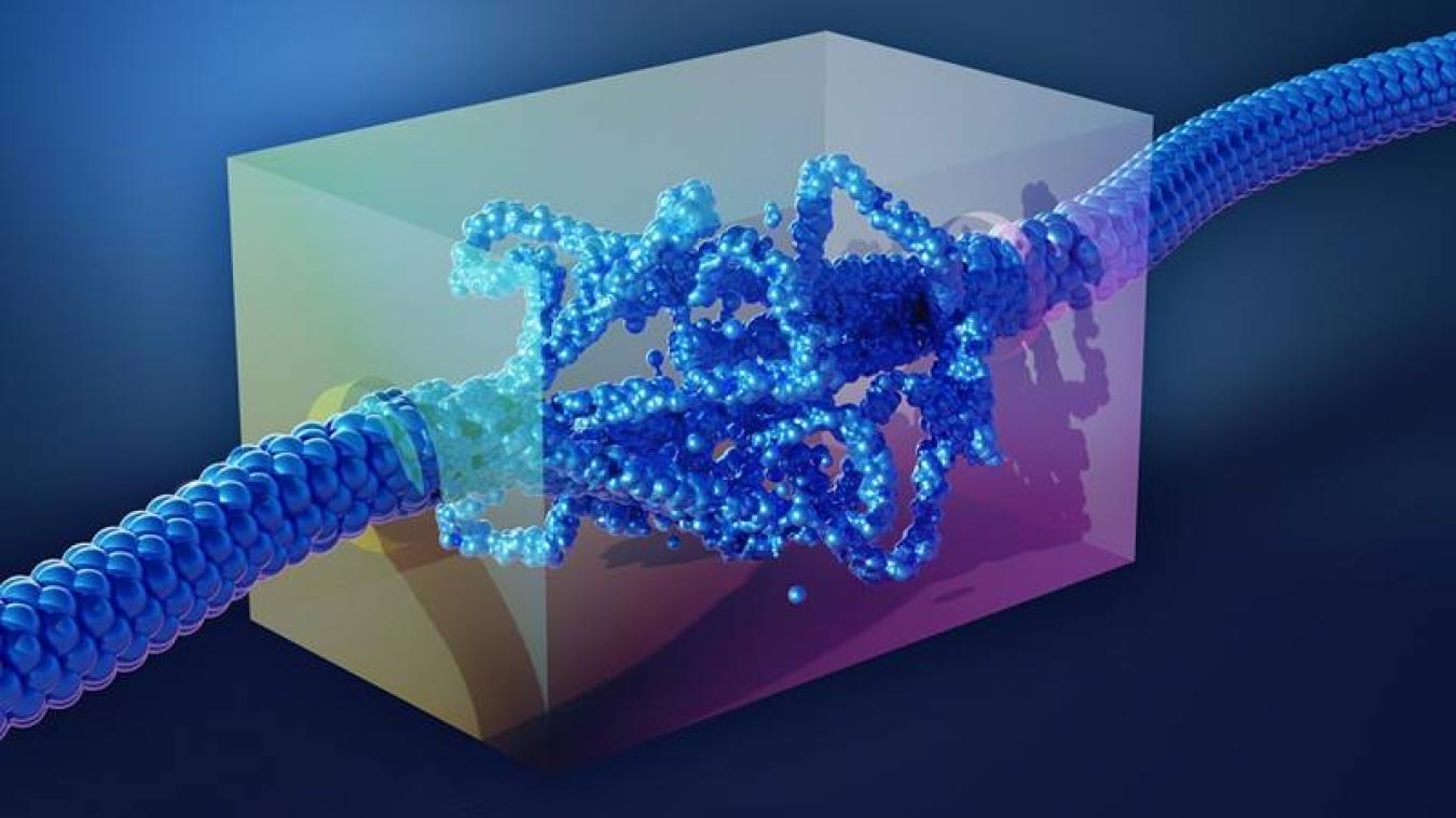 60 Jahre Physik trotzt 