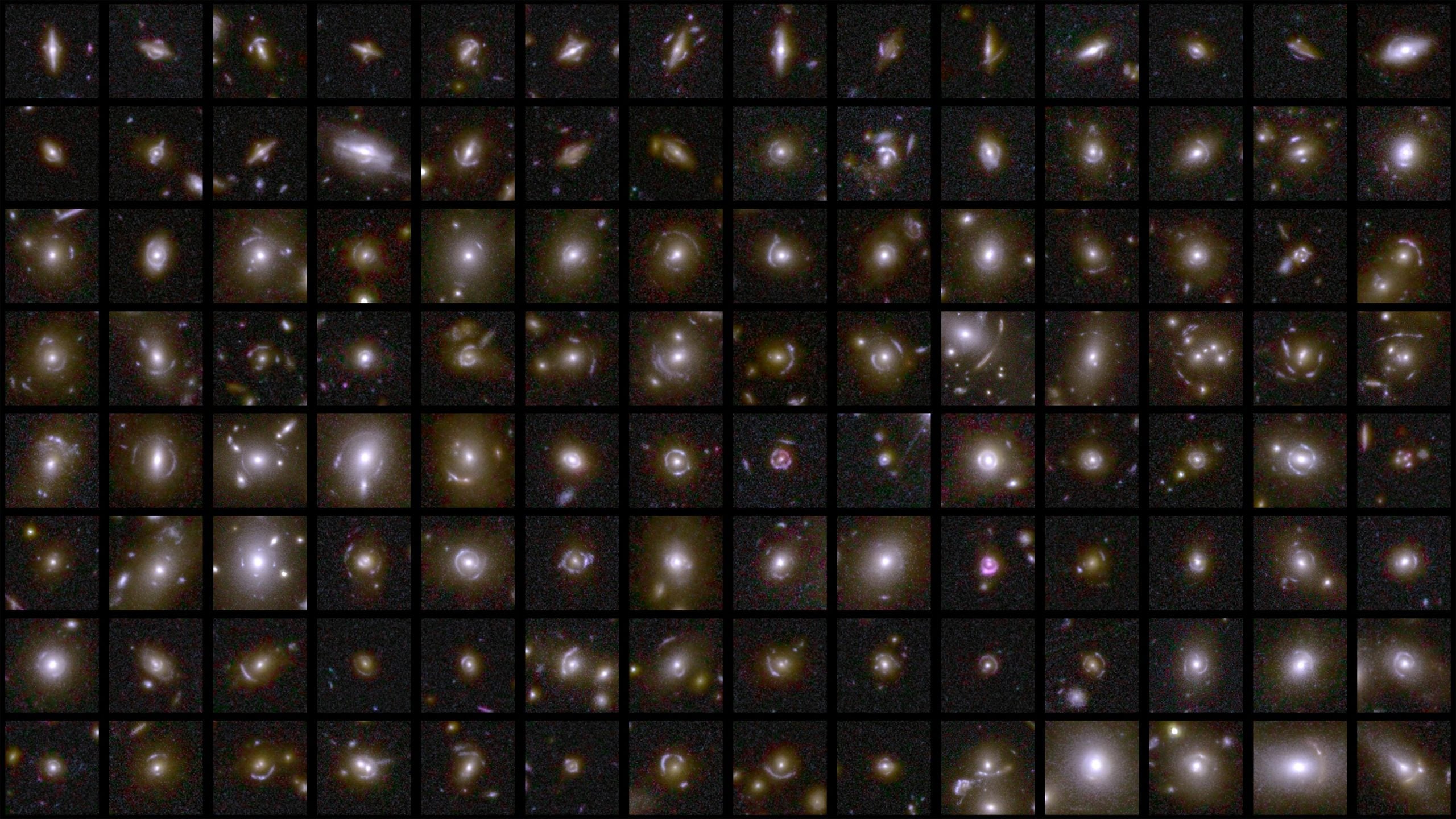 Euclids erste Bilder sind hier und sie verändern, wie wir das Universum sehen