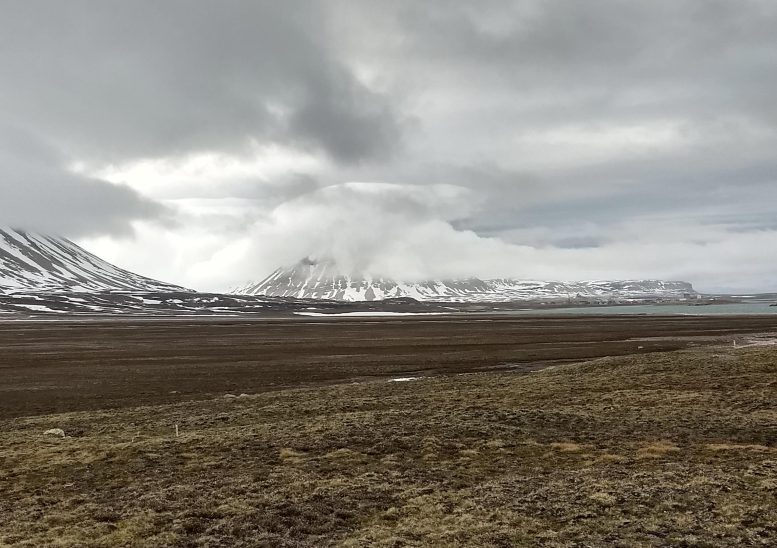 Svalbard Landscape