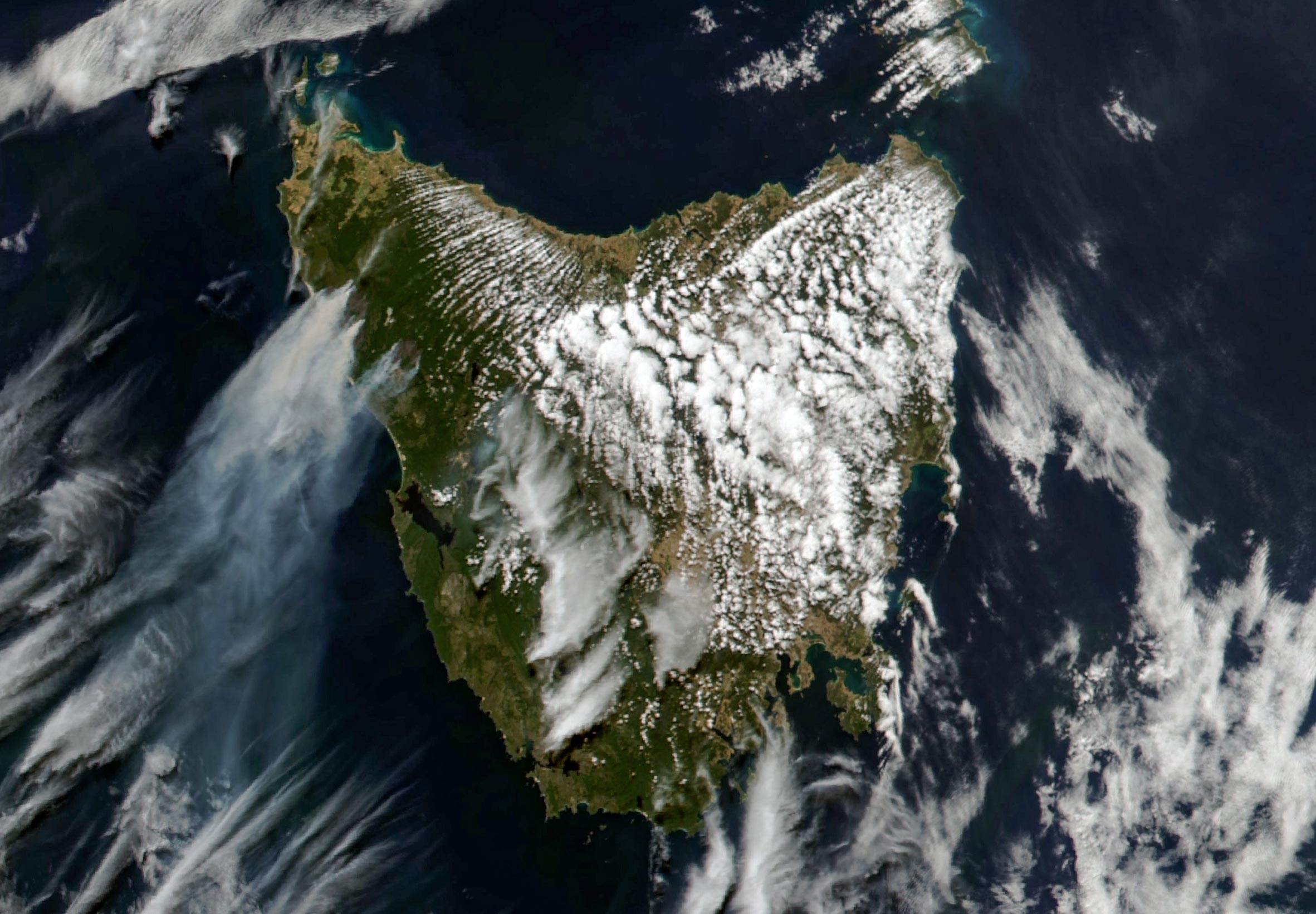 Island Inferno: Trockene Gewitter entzünden tobende Waldbrände in Tasmanien