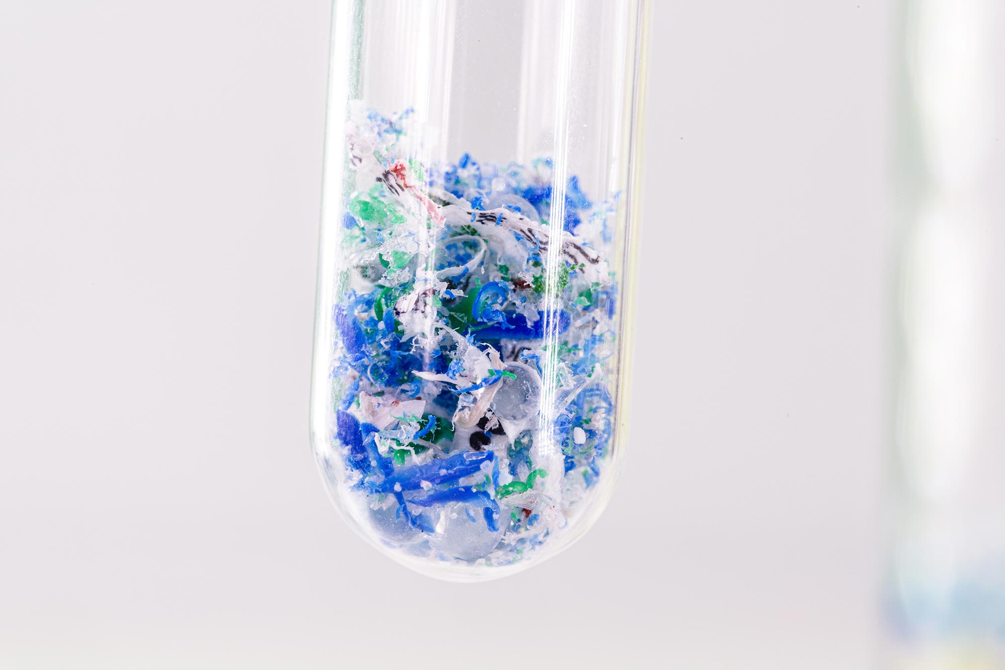 Diese Alge könnte eines Tages Mikroplastik aus Ihrem Trinkwasser entfernen