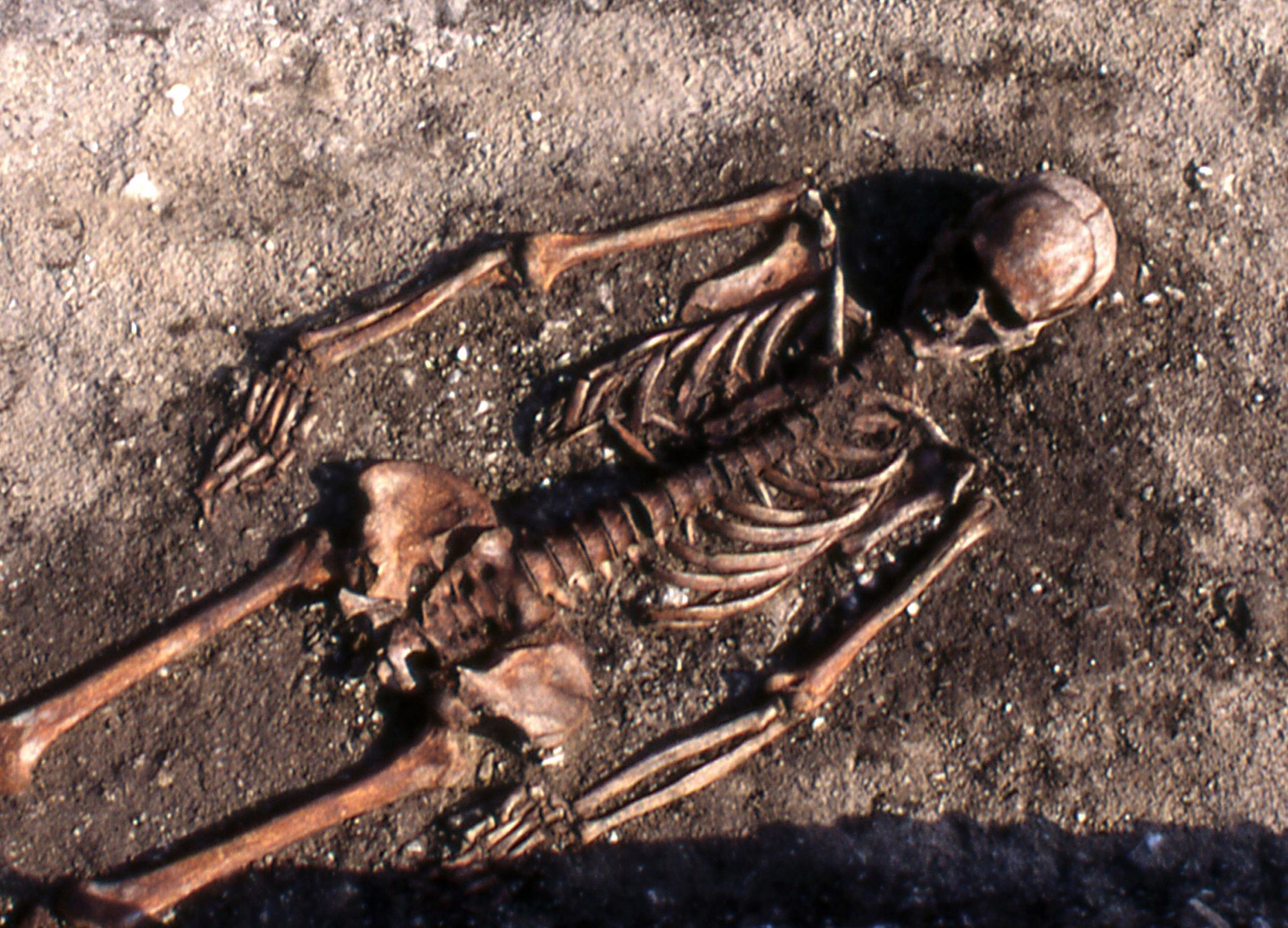 DNA erhöht unser Verständnis von Steinzeitkulturen und kämpften kulturelle Einflüsse an der Axt