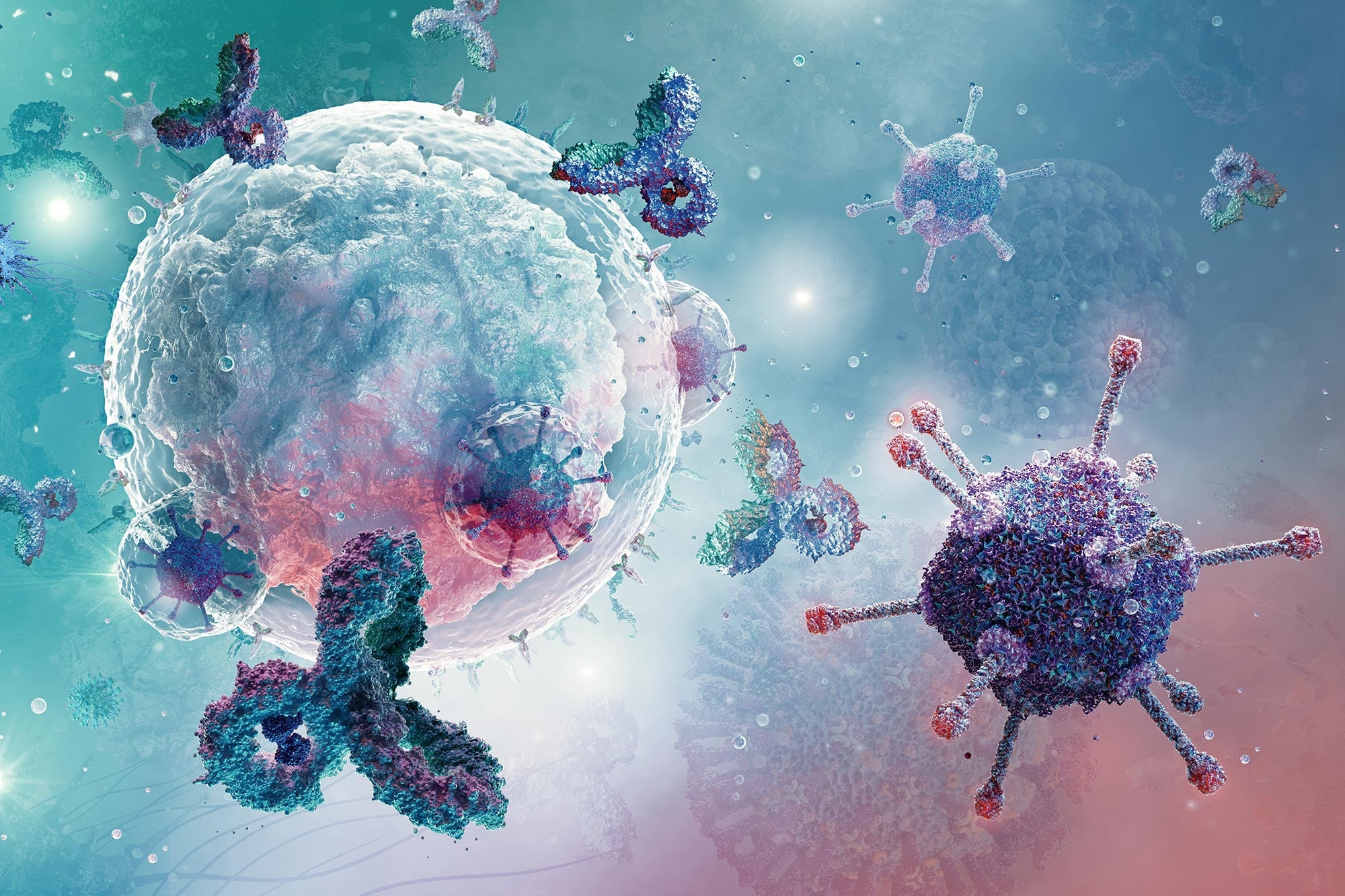 Wissenschaftler finden neuen Hinweis auf das Immunsystem hinter den anhaltenden Symptomen von COVID