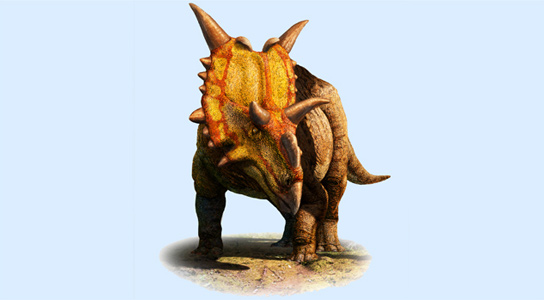 Xenoceratops, eine neue Art von Hörnerndinosaurier, der in Kanada entdeckt wurde